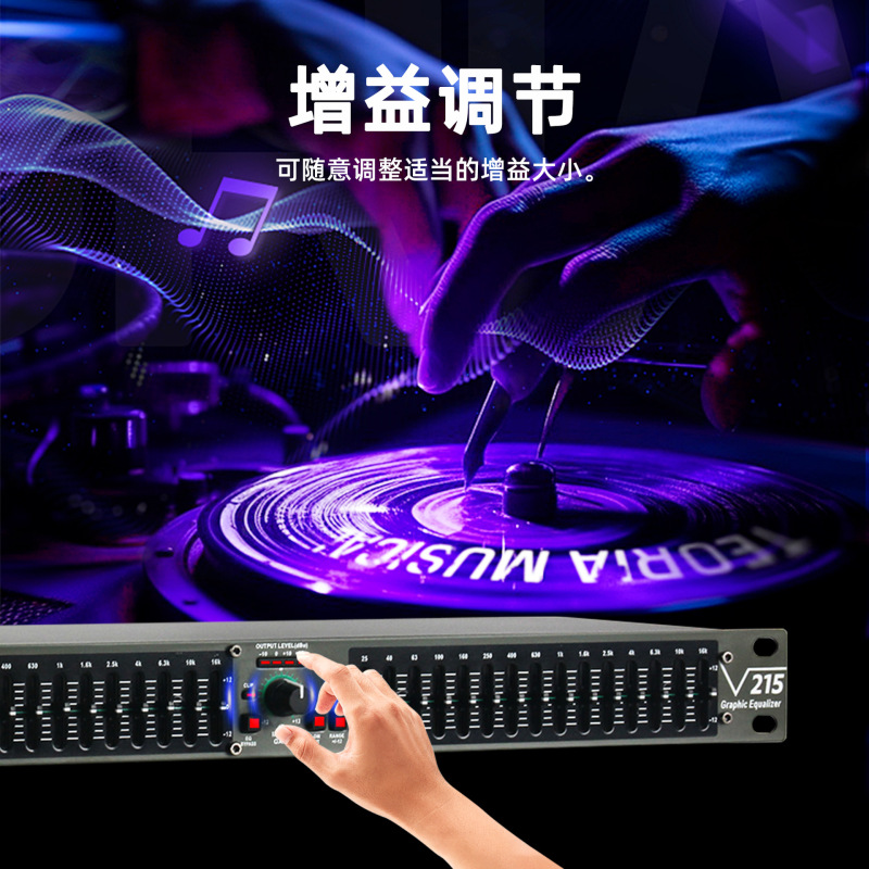 プロフェッショナルデュアル15バンドイコライザーホームミーティングパフォーマンスバー高音、中音、低音EQチューナーノイズリダクションデジタルイコライザー|undefined
