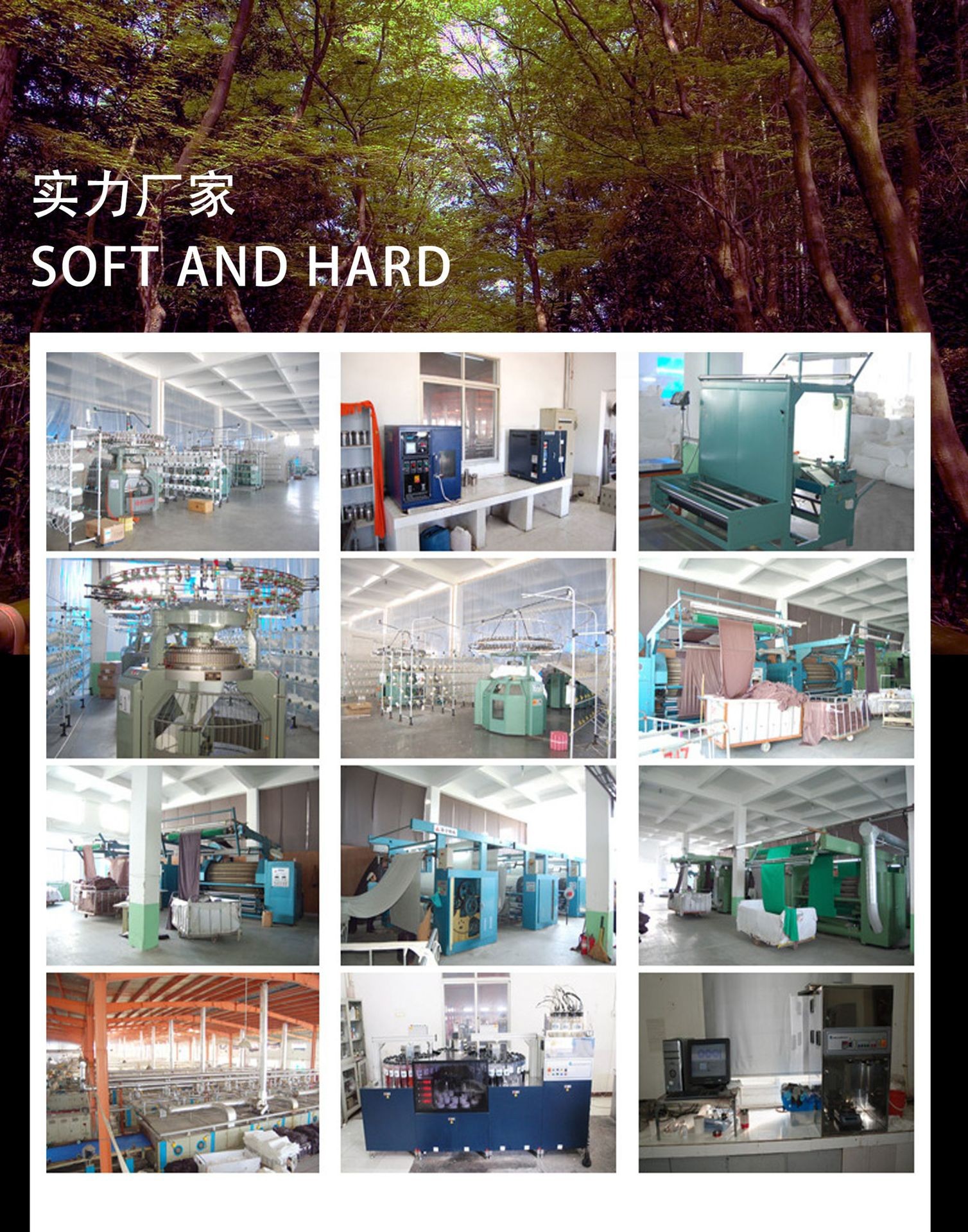 12551959069_432569384