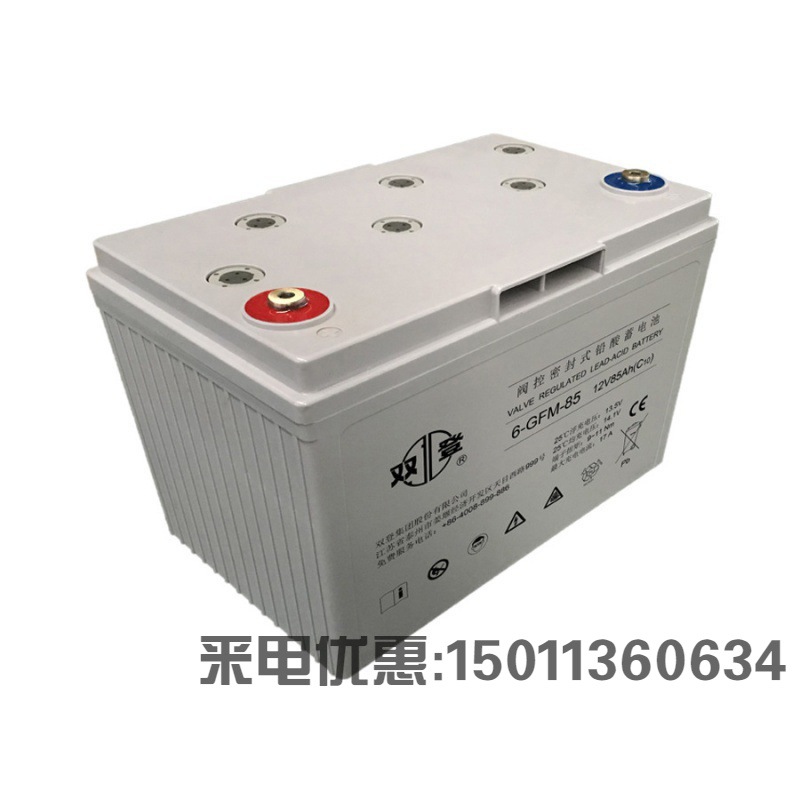 双登蓄电池6-GFM-65阀控密封式铅酸12V65AH UPS/EPS电源专用