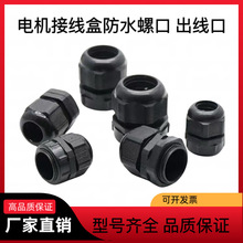 늙C�Ӿ������ϳ������ݿ��^�o�׽��^���|���m�^�����̶���ĸ