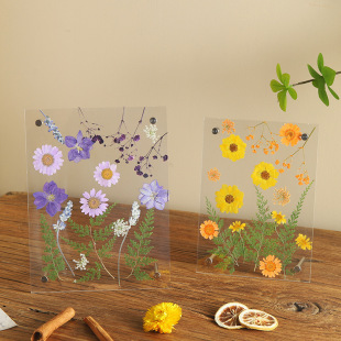 Mother's Day Acrylic Plant Material DIY Children's Gift Toddler Handmade Photo Frame Dried Flower Specimen
