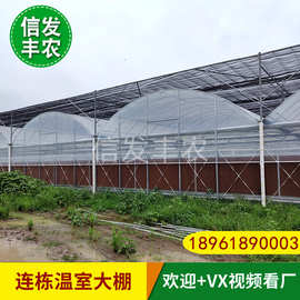 蓝莓樱桃避雨大棚 塑料薄膜农膜农业大棚材料安装建设维修搭建