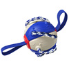 Street interactive frisbee for training, football toy, pet, wholesale, city style