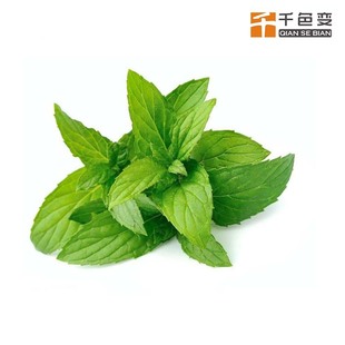 ��ζ�ۻ���΢�z�Ҹ���zӡ����Ħ���������LЧ��ζ�� ���ķ�