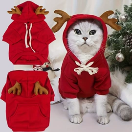 狗狗服装;狗狗清洁