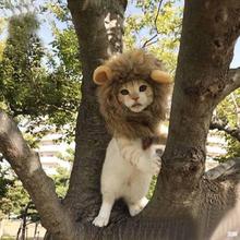 万圣鬼节装扮猫咪狗狗卖萌通用可调节魔术贴秋冬狮子变身宠物帽子