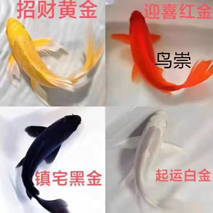 �~�^�p�~�S�\�����~���~�\����ˮ�~С�͵�ˮ�~���B�ͻ���\��