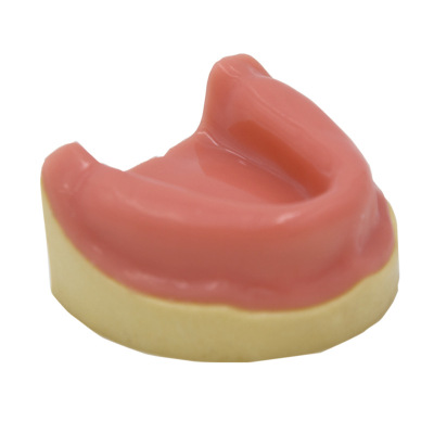 oral cavity suture Model Tooth model,plant Model Gums suture Model Cropping Model