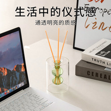 琥珀双层玻璃葫芦花瓶家居装饰香薰精油瓶创意桌面水培摆件香韵