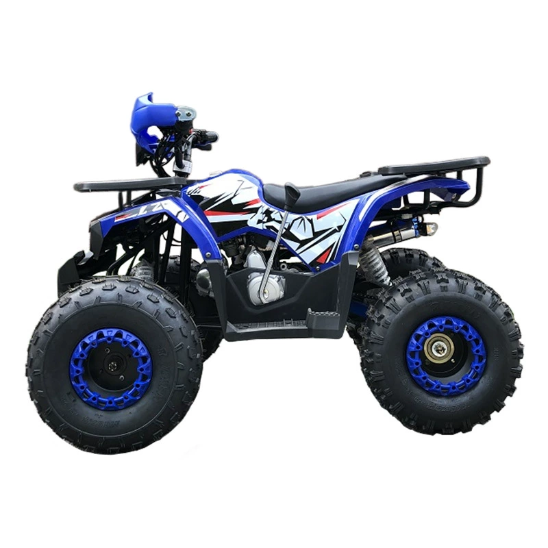 Государственный эксклюзивный поставщик 125cc вседорожники с четырьмя колёсами собственного бренда внешнеторговое обеспечение мотоцикл внедорожные транспортные средства