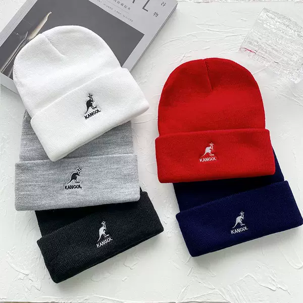 Korean-style ins trendy kangaroo knitted hat cold hat dome letter embroidery multi-color warm knitted wool hat
