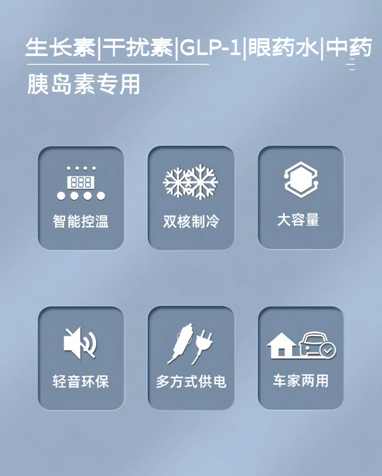 Pmg Car-Mounted Small Refrigerator, Medicine Refrigeration Box, Insulin Refrigeration Small Refrigerator, Growth Hormone 2-8 ℃ Refrigerated Box