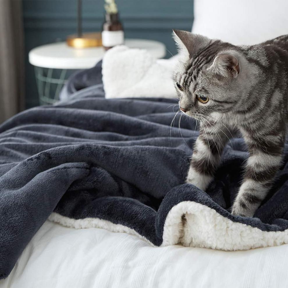 61DvuniMU5L._SL1005_.jpg?x-oss-process=image/format,png