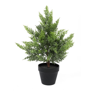 �羳����������}�Q��ؘ��ɘ����Gֲ���湝�Ք[���}�Q���b�Ʒ