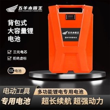 �@�ֹ���늄ӾG�h�C�ɲ�C��ݙC��ؓʽ�늳�21v24v36v48v������