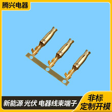 2.35��ƿ���Ӱ���β���~�������~�ܶ��ӹ��ζ��ӏS��ֱ�N�Ӿ�����