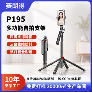 P195�๦���֙C���ėU��������s���L�X�Ͻ����{���b�����ėU