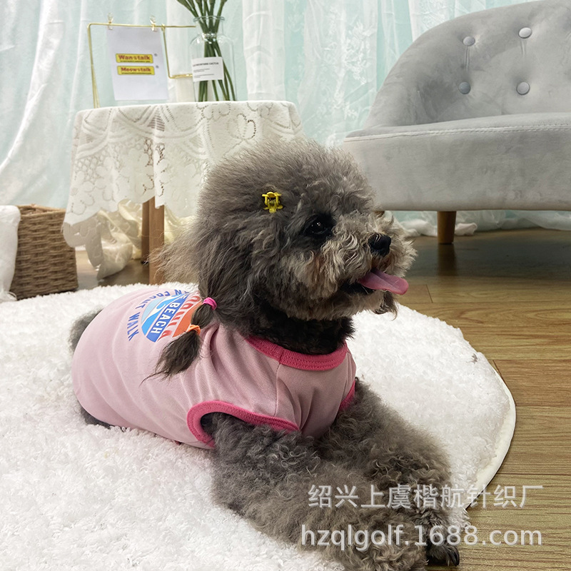 ɹT ӡT ̩СȮɫӡTװ