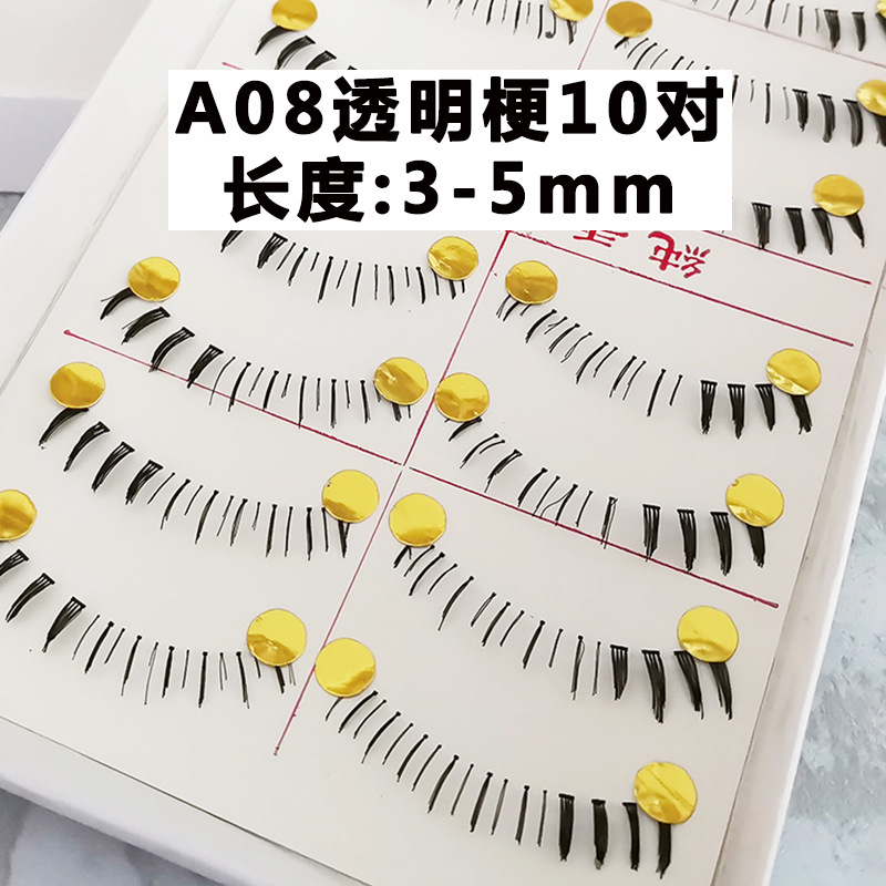 A08.jpg