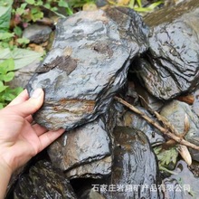 溪流石水族造景矿石鱼缸造景原生缸造景用片岩片石乌龟晒台黑片石