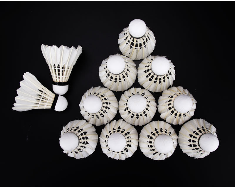 44c3fd5b-5c84-432a-af55-db1d706a9774.jpe