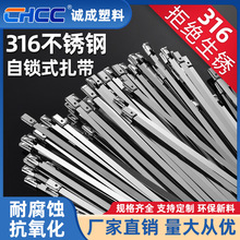 定制自锁式316不锈钢打包带4.6*300船用金属束线扎带捆扎批发