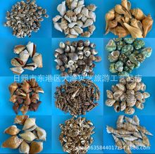 ��Ȼؐ�������~���쾰�Ҿ��b����μo����N������ϰ���S�����l