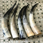 牦牛角黄牛角黑牛角站筒牛角筒摆件挂件厂价批发