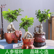 �Ř��辰�˅�С�~�����Ϙ���������k���҃�������X�Gֲ���Ի���