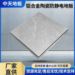 アルミ合金セラミックス帯電防止床タイル帯電防止架空板室架空活動床600*600