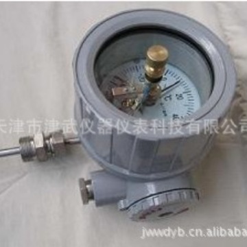 供应WSSX-411B/511B 大成防爆电接点双金属温度计温度表