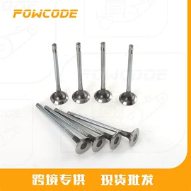 气缸及部件;其他发动系统;曲轴、凸轮轴