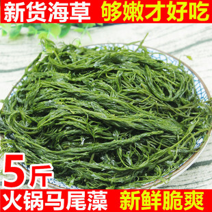 ���ڹS����5���Rβ�����r�}�n�����򗫲������C��側������ʳ��1