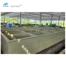 �ӹ����ƾ۱�ϩPP��ϴ��늽�۰�ɫ��ɫ�����|�^�����_������ˮ��