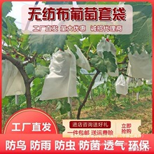 ��ˮɏ�F�o�������ӷ��x�״������������ѷ��B�����яS�N¶��