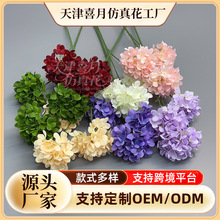 ���滨�������õ��Ż�3�^С����162Ƭ��֧�����c�ٻ�·���廨