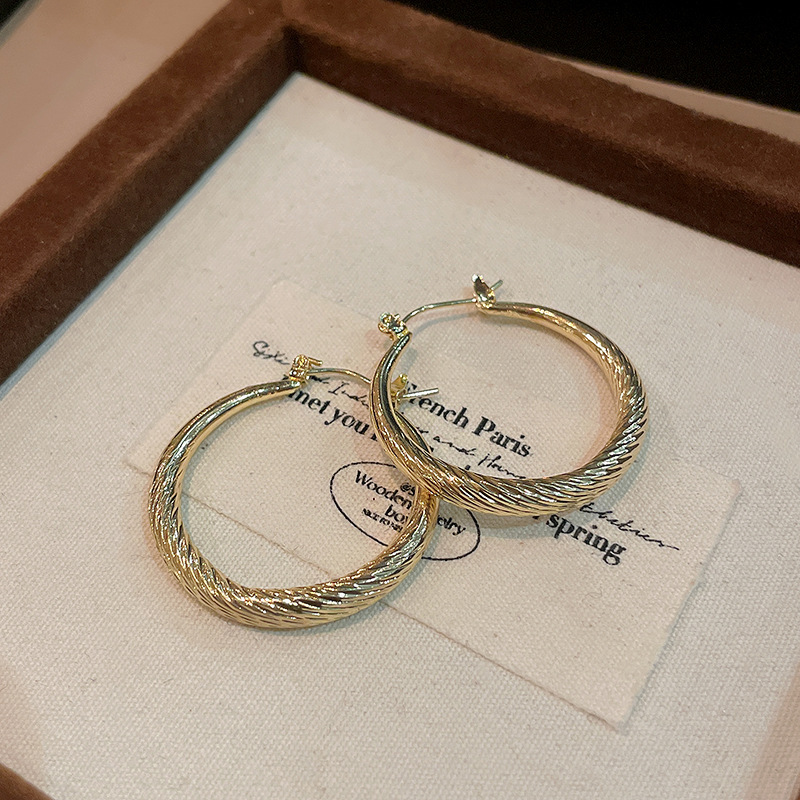 Corea del Sur nicho elegante pendientes de alto grado elegante cara adelgazamiento pendientes al por mayor Aguja de plata círculo de metal pendientes de anillo liso