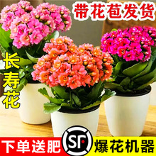 �L�ۻ����Խ���ꎧ�����ذ�����҃��̨�ļ������Ϙ�����ֲ��
