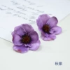 Autumn purple