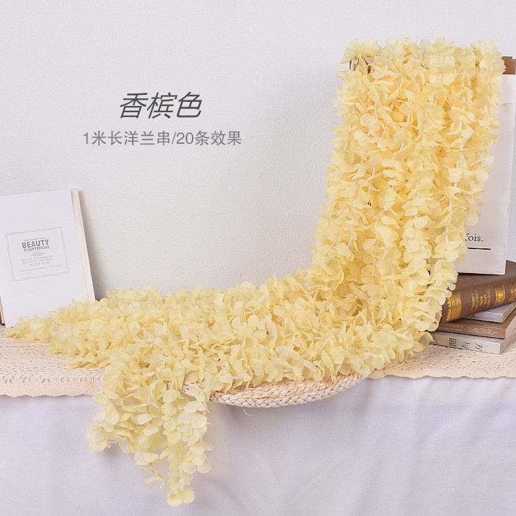 샴페인 컬러 난초 꼬치