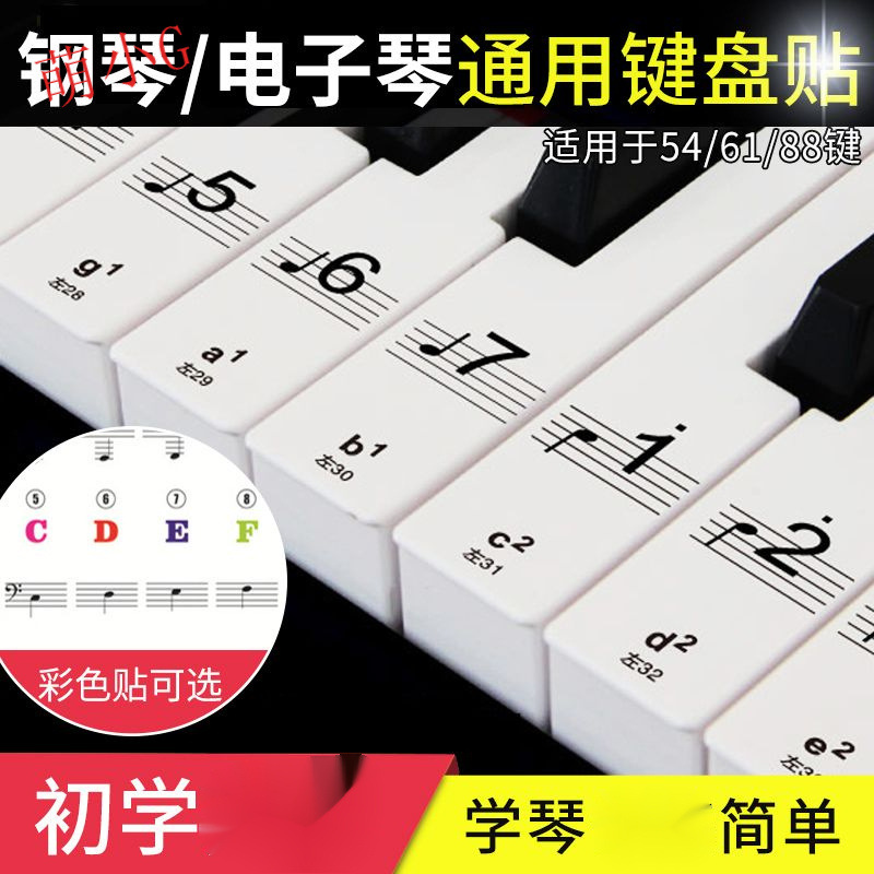 54 61 88 teclas Piano electrónico Teclas de piano Etiqueta de marcado de notas Etiqueta de teclado transparente de color
