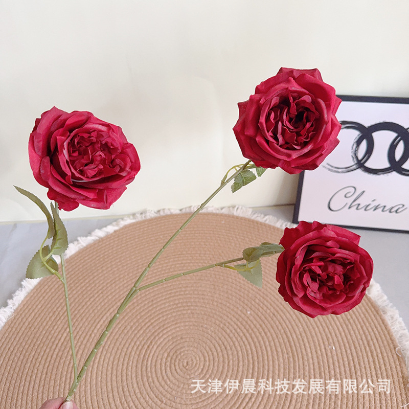 잎이 있는 오스틴 3개 - 빨간색