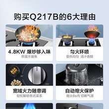 ��.��ȼ����Q217B-Mú�����p�������Ȼ��t��̨Һ�����m��Ƕ����