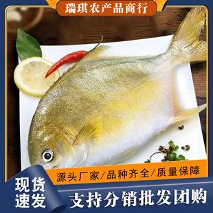 ���K�~���r�R�~���~�K�~����~ƽ�~���rˮ�a�r�������S���]ɽ�|