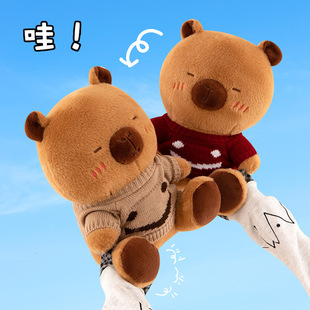 ���Q�¿Ƥ����ë�q��߹��п羳�ɐ۴���ˮ����ż�����Y�����l