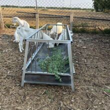 ��λ��ʽ�p����ʳ��ι���ϲ����zƤ���͎��۵׷�ֳĸ�򲻓�ʳ���