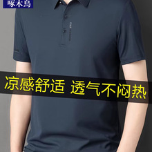 ��ľ�B��ʿ����t�����zPOLO���ļ����I�������e��ɫ��ɣ�Q�z�w��