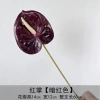 Red Palm-Dark Red
