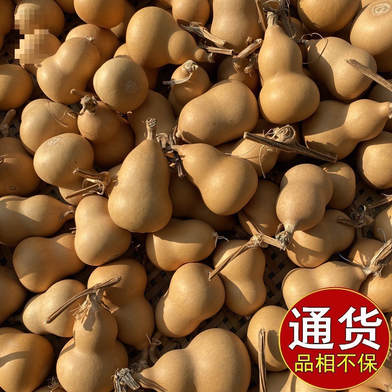 小葫芦一手货源带龙头天然迷你小手捻把玩件地摊文玩供应一件包邮|undefined
