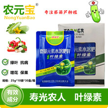 ԭ�۹��r�� �~�G�� �����J�S���������ǌ����~��� ���M�_������